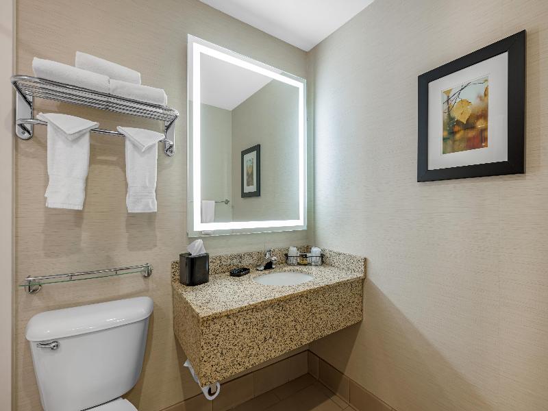 Bw Plus Dubuque Hotel & Conference Center image