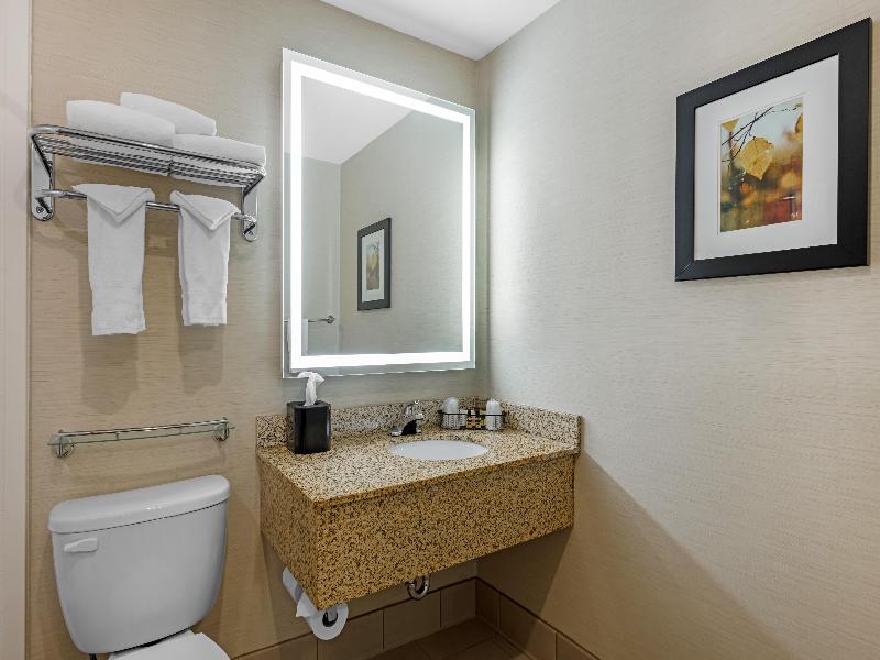 Bw Plus Dubuque Hotel & Conference Center image