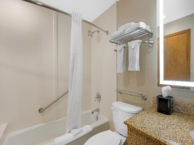 Bw Plus Dubuque Hotel & Conference Center image