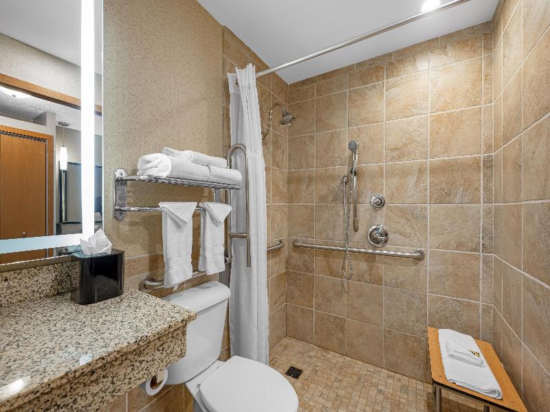 Bw Plus Dubuque Hotel & Conference Center image