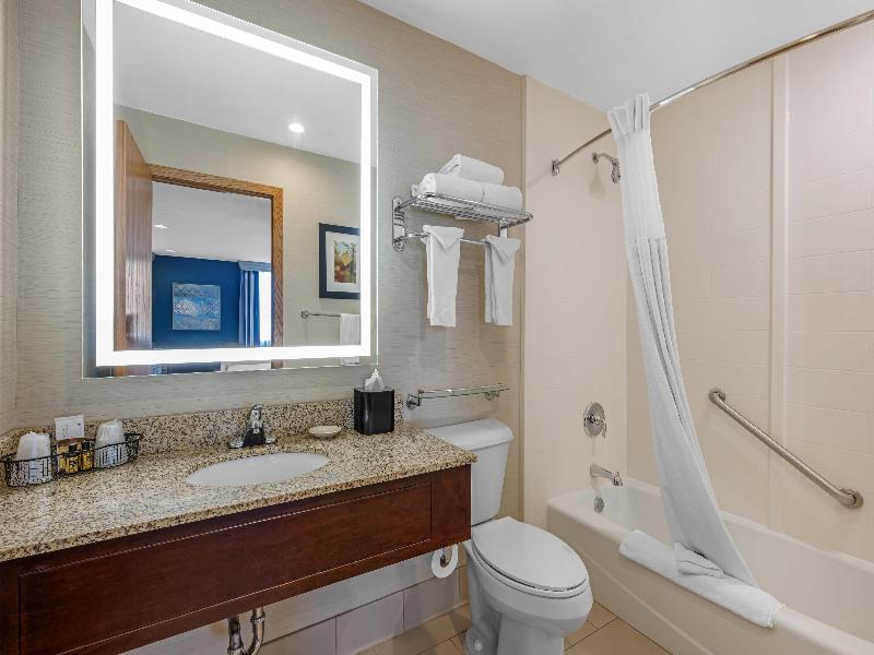 Bw Plus Dubuque Hotel & Conference Center image