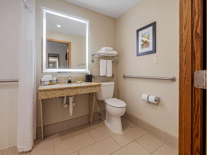 Bw Plus Dubuque Hotel & Conference Center image