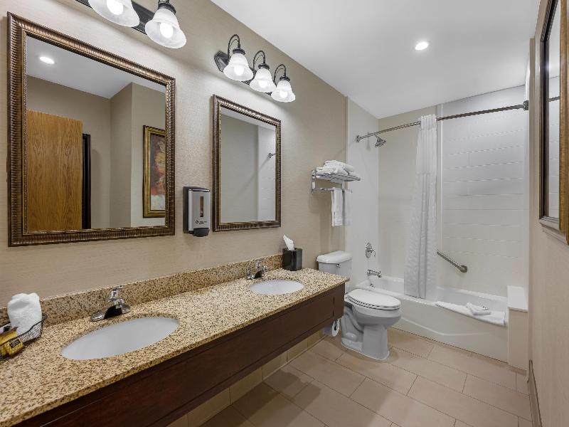 Bw Plus Dubuque Hotel & Conference Center image