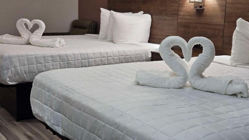 Surestay Plus By Best Western Hopkinsville image