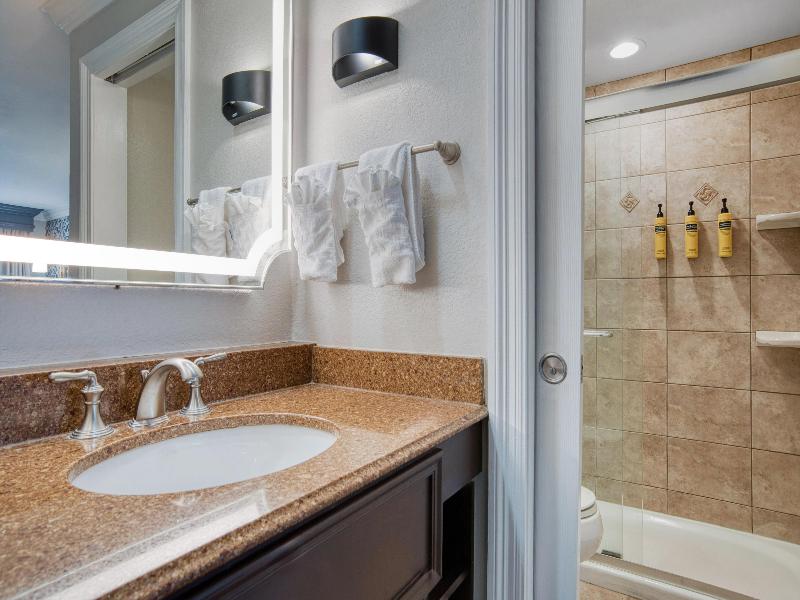 Best Western Plus French Quarter Courtyard Hotel image