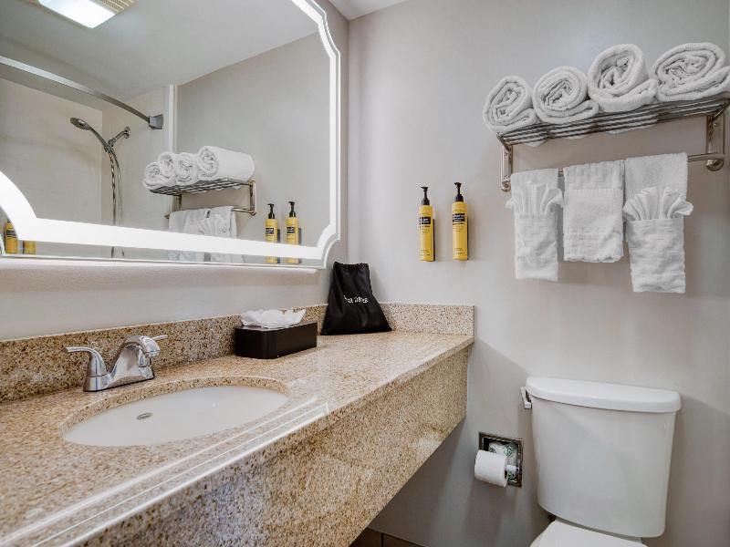 Best Western Plus French Quarter Courtyard Hotel image
