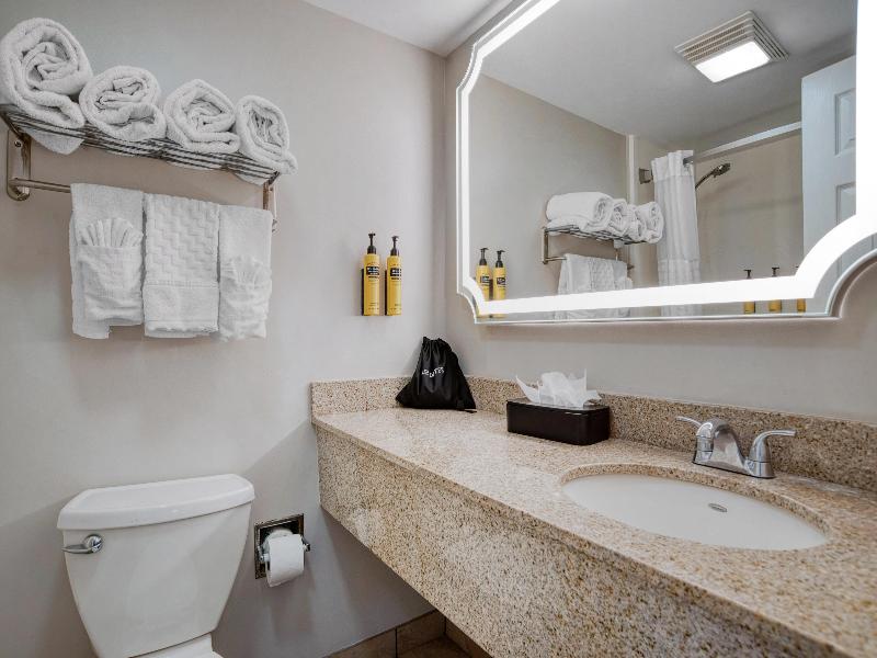 Best Western Plus French Quarter Courtyard Hotel image