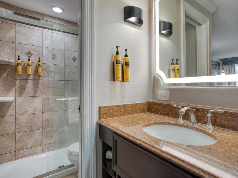Best Western Plus French Quarter Courtyard Hotel image