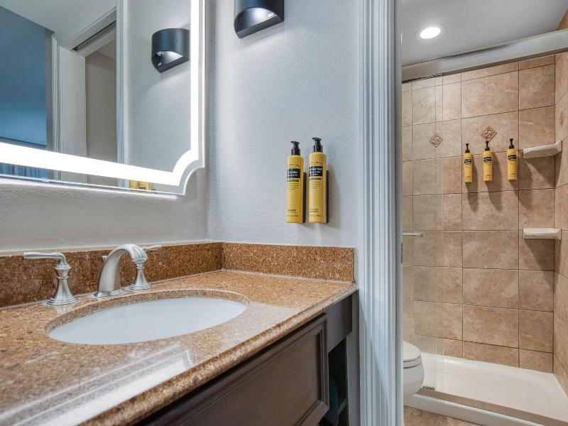 Best Western Plus French Quarter Courtyard Hotel image