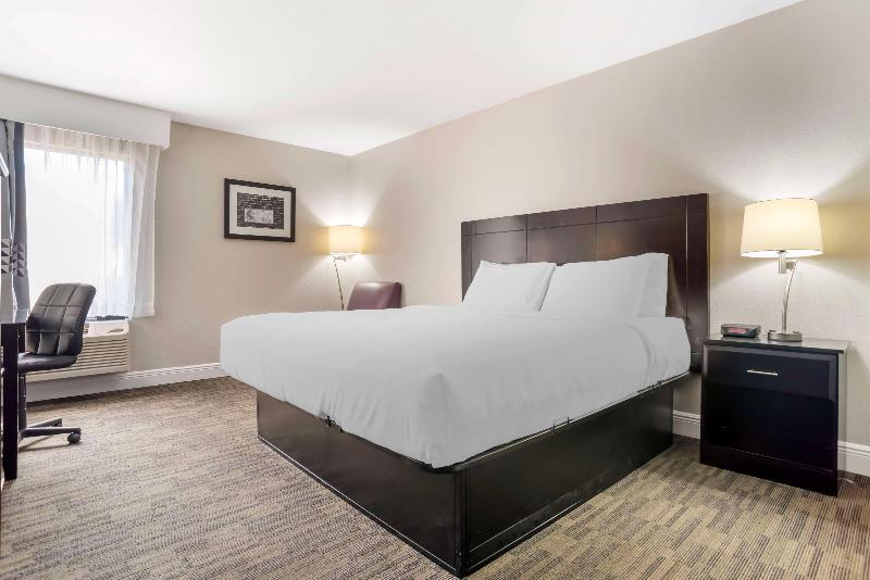 Best Western Bayou Inn image