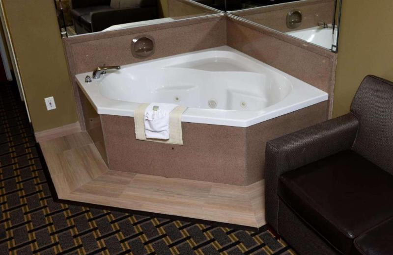 Best Western Zachary Inn image