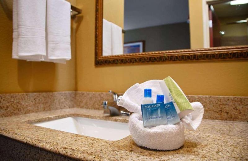 Best Western Zachary Inn image