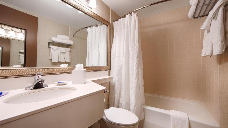 Best Western Plus Chelmsford Inn image