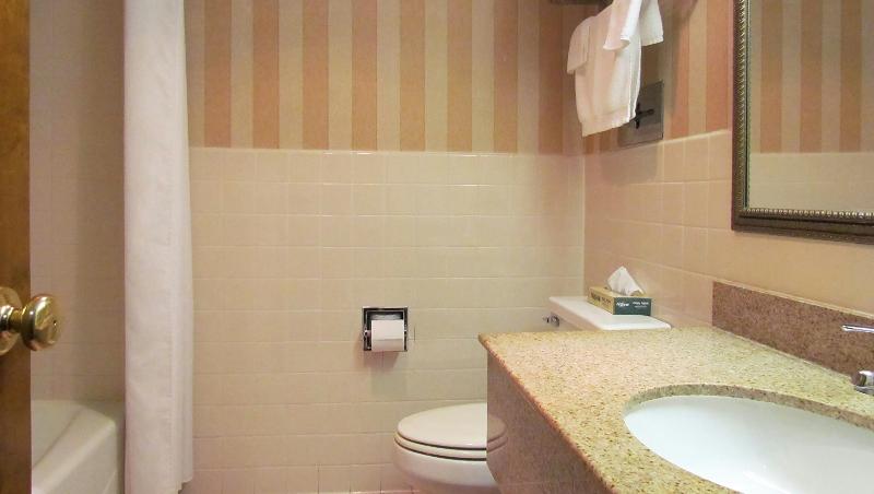 Magnuson Grand Pioneer Inn and Suites image