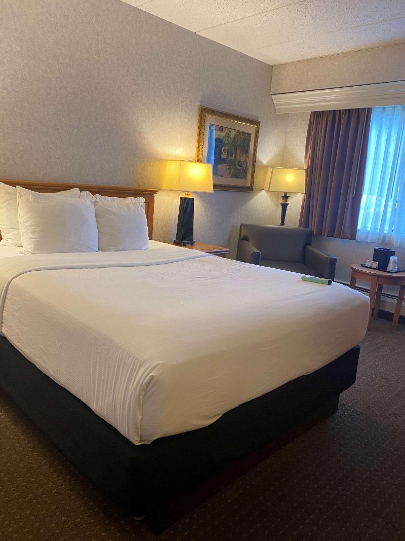 Best Western Plus Kelly Inn image
