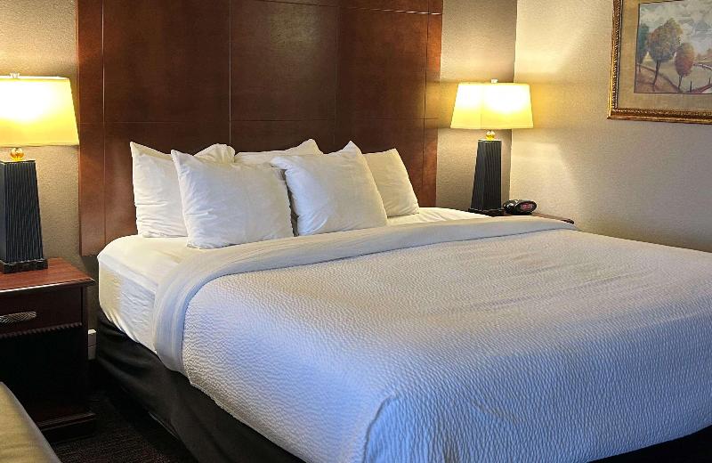 Best Western Plus Kelly Inn image