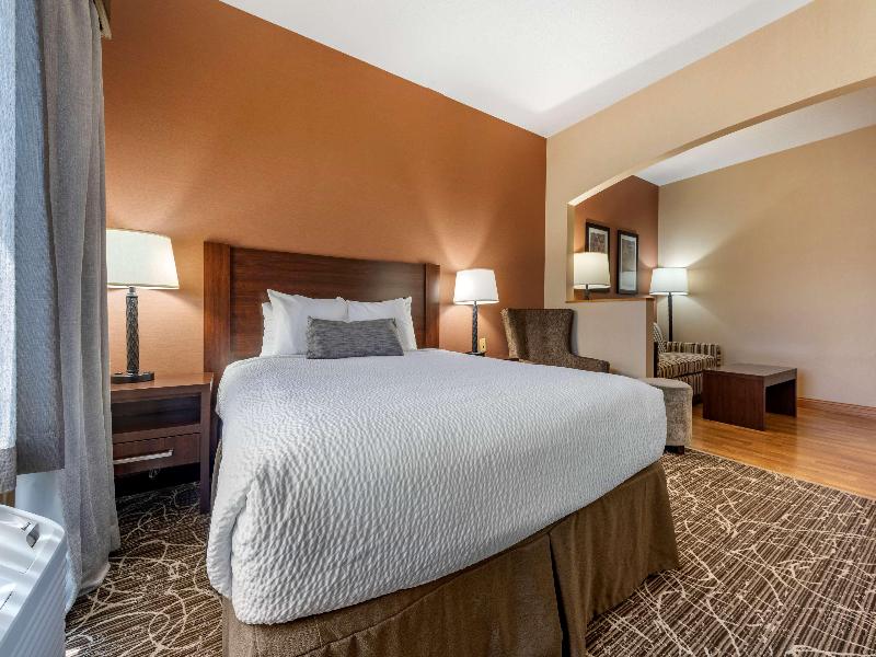 Best Western Plus Chelsea Hotel image