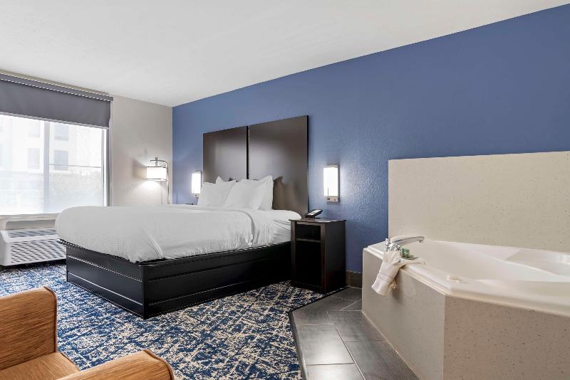 Best Western Canton Inn image