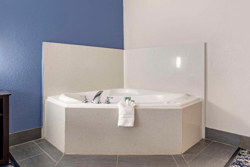 Best Western Canton Inn image