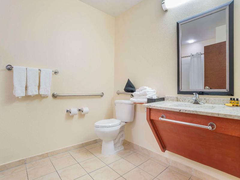 Best Western Plus Flowood Inn & Suites image