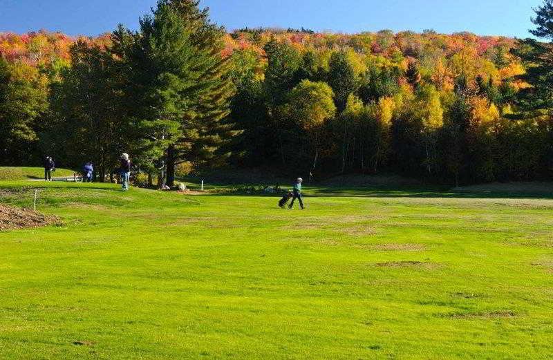Silver Fox Inn image 4