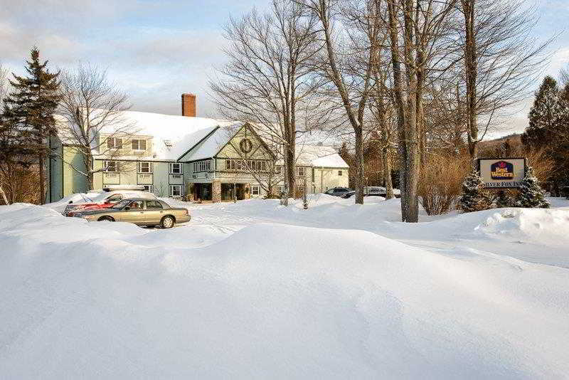 Silver Fox Inn image 8