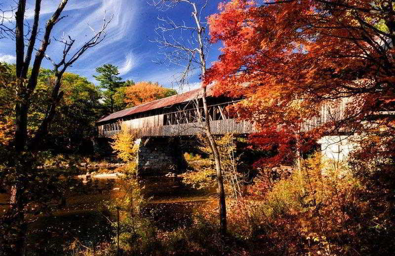 Silver Fox Inn image