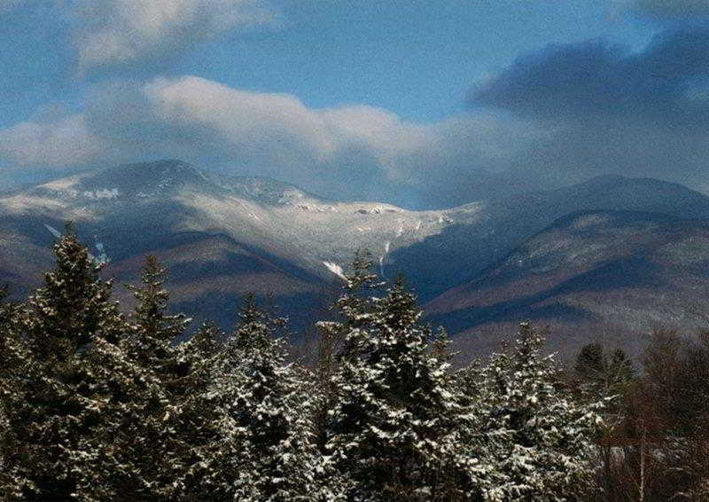 Silver Fox Inn image