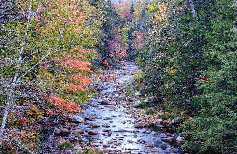 Silver Fox Inn image