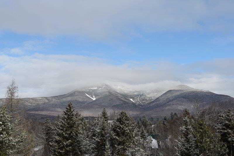 Silver Fox Inn image