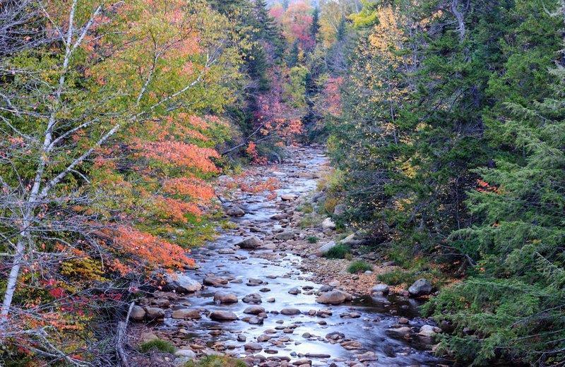Silver Fox Inn image