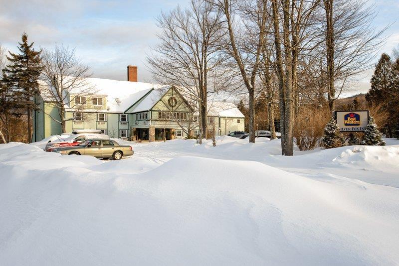 Silver Fox Inn image