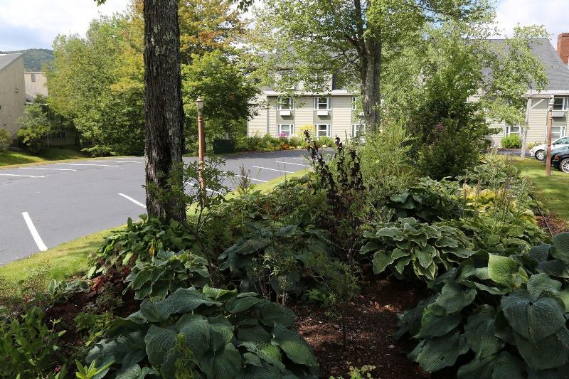 Silver Fox Inn image