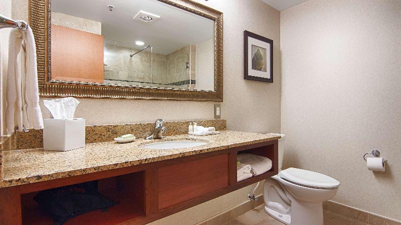 Best Western Plus Oswego Hotel and Conference Cent image