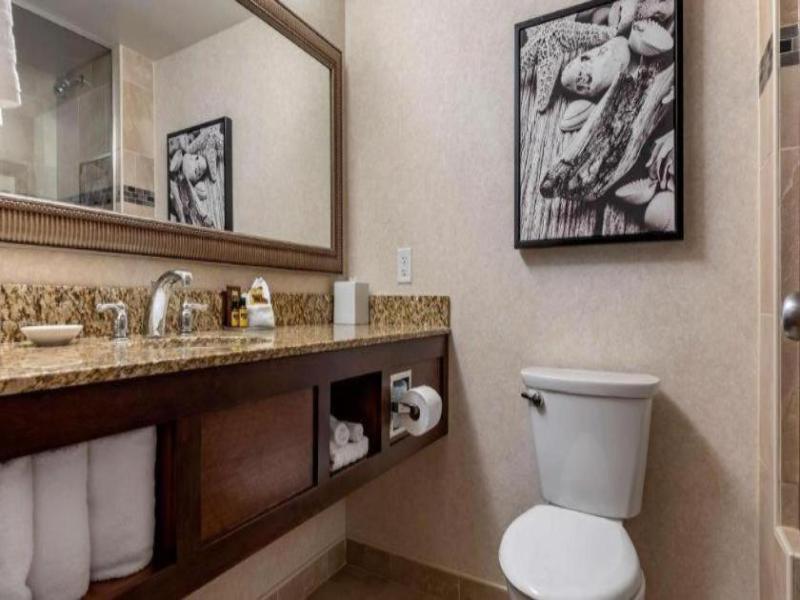Best Western Plus Oswego Hotel and Conference Cent image