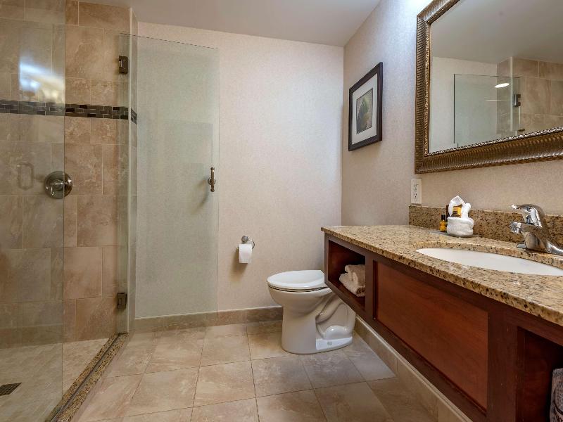 Best Western Plus Oswego Hotel and Conference Cent image