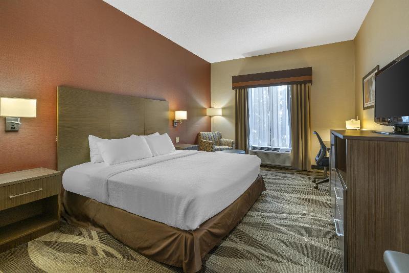 Best Western Plus University Inn image