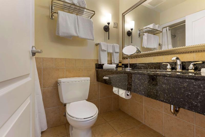 Best Western Plus Vineyard Inn & Suites image