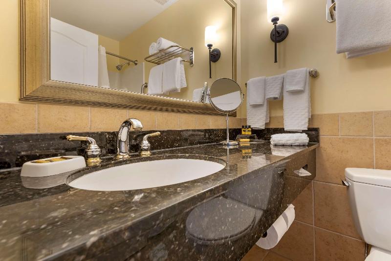 Best Western Plus Vineyard Inn & Suites image