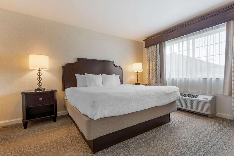 Best Western Plus Vineyard Inn & Suites image