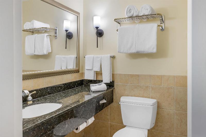 Best Western Plus Vineyard Inn & Suites image