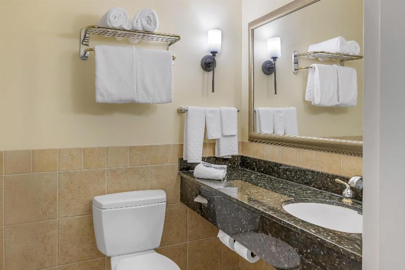 Best Western Plus Vineyard Inn & Suites image