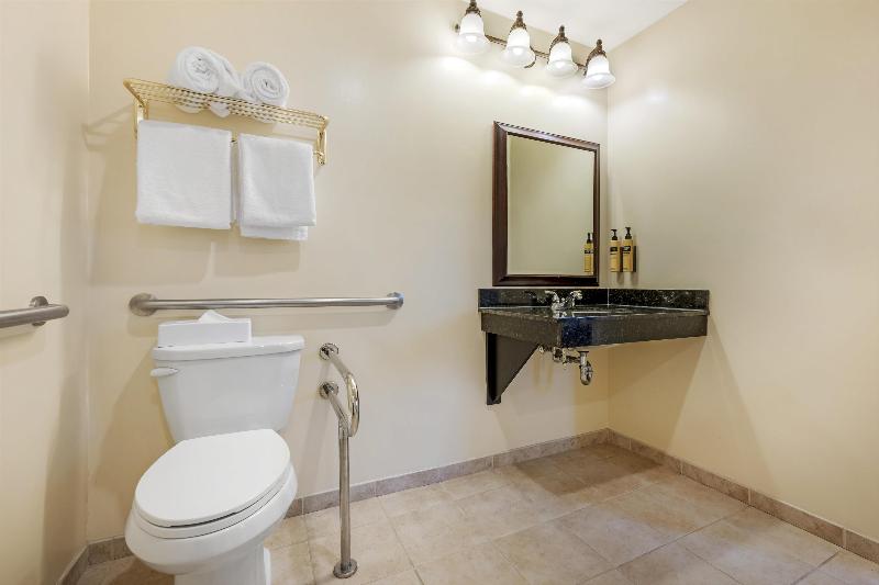 Best Western Plus Vineyard Inn & Suites image