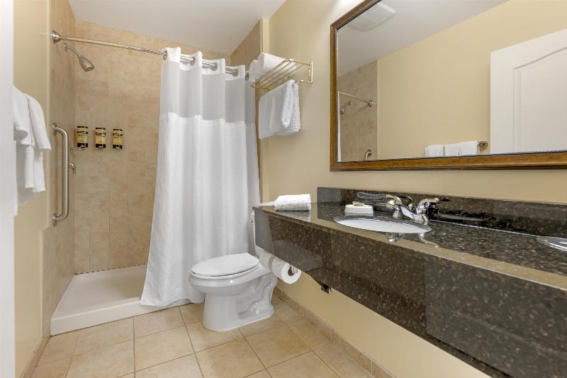 Best Western Plus Vineyard Inn & Suites image