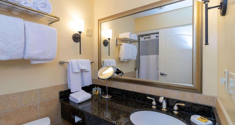 Best Western Plus Vineyard Inn & Suites image