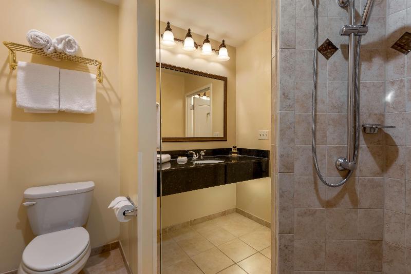 Best Western Plus Vineyard Inn & Suites image