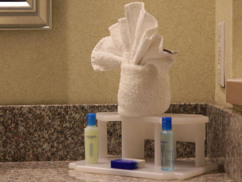 Best Western Galleria Inn & Suites image