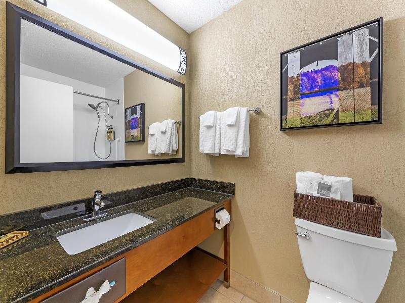 Best Western Plus Wooster Hotel & Conference Cente image