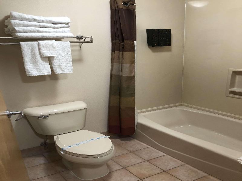 Best Western Dallas Inn & Suites image