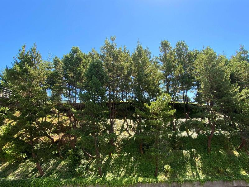 Best Western Plus Agate Beach Inn image